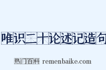 唯识二十论述记造句是什么意思的图片